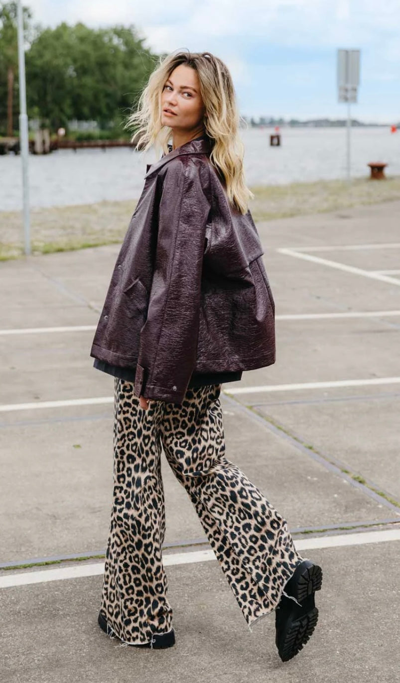 Catwalk Junkie Leopard jeans